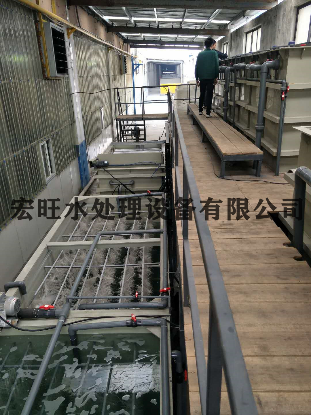 全2.jpg